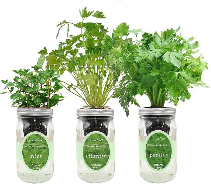 Environet Hydroponic Herb Growing Kit Set, Self-Watering Mason Jar Herb Garden Starter Kit Indoor, Windowsill Herbs Garden, Grow Your Own Herbs from Organic Seeds (Mint, Cilantro and Parsley)