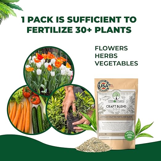 BuildASoil Fertilizer for Vegetable Garden and Organic Plant Food | Hand-Crafted Organic Fertilizer with 15 Premium Ingredients | Ensures Larger Plants and More Fragrant Flowers (3 LB - Small Bag)