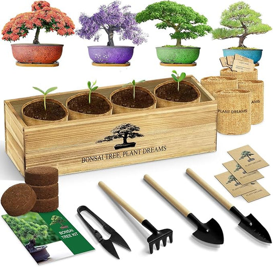 LUOJIBIE Bonsai Tree Kit, Complete Bonzai Tree Starter Kits with Tools, Valentines Day Gifts for Her Him, Unique Christmas Birthday Gardening Gifts for Women Mom Men Grandkids, Crafts Hobby Kits