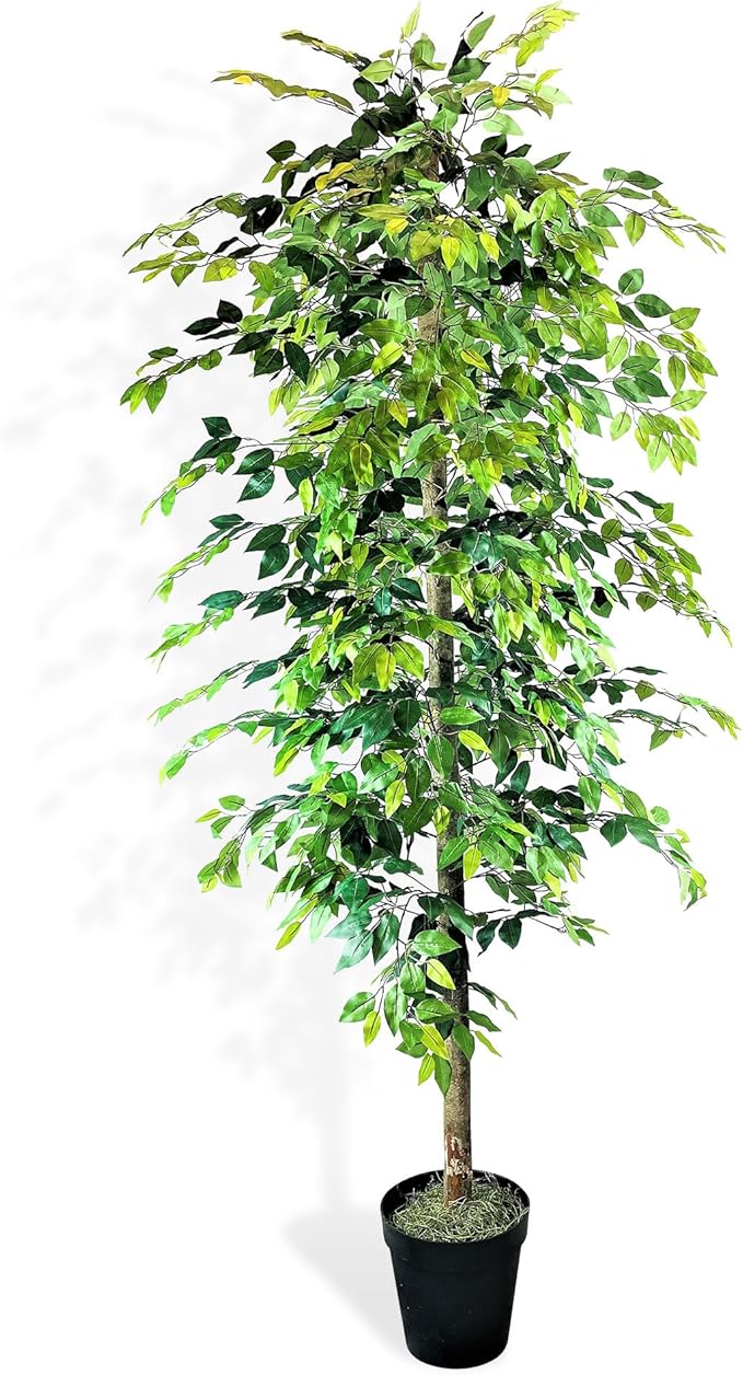 LCG Florals 8ft Artificial Ficus Tree in Black Plastic Pot - Real Wood Trunk, Preassembled, No Maintenance Indoor Faux Plant - Living Room, Home & Office Decor