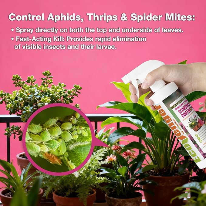EcoVenger Plant Insect Spray 16 OZ by EcoRaider, Kills Aphids, Mealybugs, Red Spider Mites, Armyworms All Stages Larvae and Eggs, Gnat Spray for Indoor Plants, Non-Toxic, Child & Pet Safe