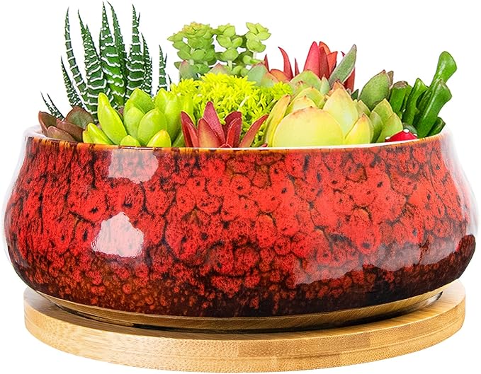 ARTKETTY Succulent Pots - 8 Inch Plant Pot, Large Bonsai Pots with Drainage Tray, Ceramic Planters for Indoor Outdoor Plants, Round Shallow Cactus Flower Plant Container Bowl Decorative Home Garden