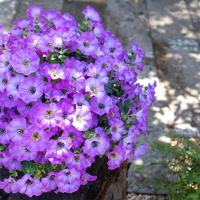 VDVST Artificial Flowers for Outdoors,UV Resistant Artificial Outdoor Flowers,Not-Fading Faux Flowers for Outdoor Planters Front Door Porch Yard Patio Garden Home Decor,12 Bundles(Gradient Purple)