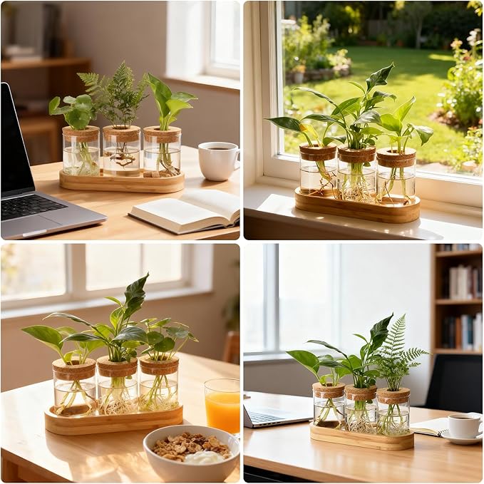 onepeng 3Pcs Propagation Stations, Plant Terrarium with Lid and Wooden Stand,Desktop Glass Planter Hydroponics Vase,Home Office Living Room Decor Gifts