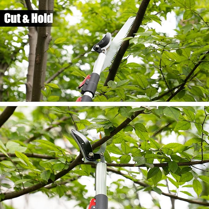 4.6-10 Ft Tree Trimmers Long Handle Pruner with Long Reach Pole Saw, Extendable Tree Pruner Cut and Hold Pruning Trimmer, Telescoping Fruit Picker Pole Tools for Branches Bypass Lopper
