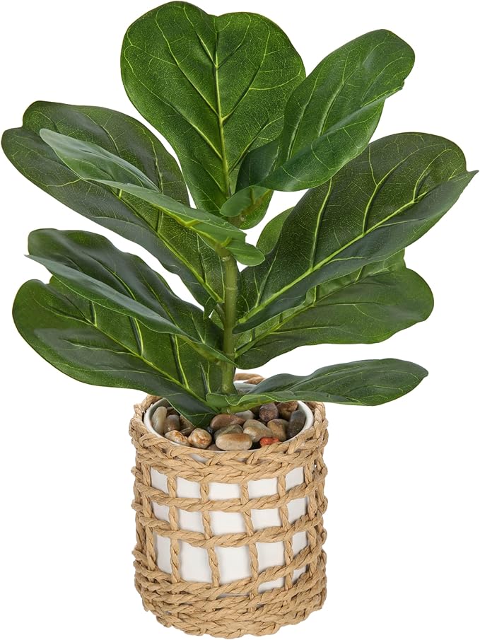 Briful Fake Plants Potted Plant Artificial Realistic Houseplant in White Ceramic Vase Wrapped Woven Pot, Fiddle Leaf Fig Faux Plant Indoor for Home Farmhouse Wedding Tabletop Shelf Decor