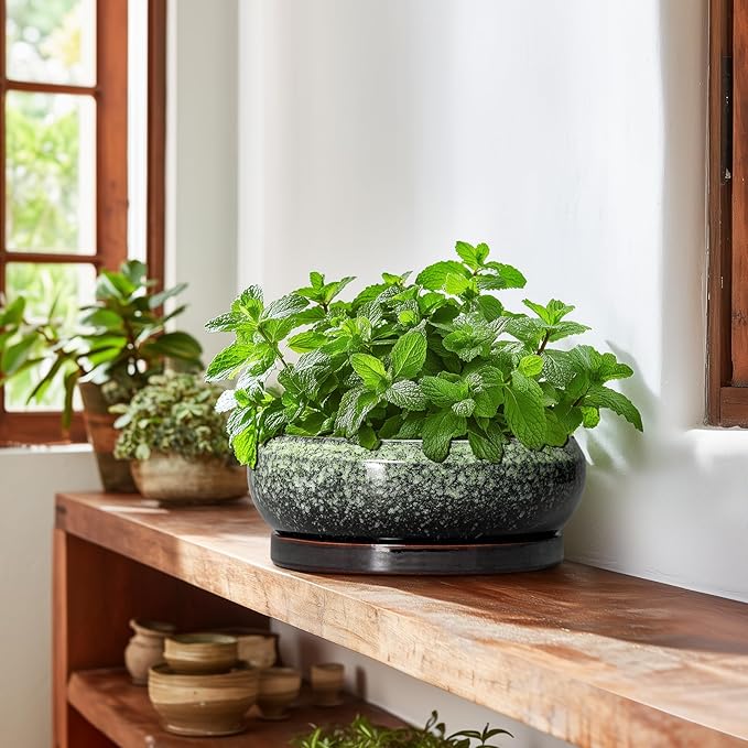 EPFamily Bonsai Pots 10 Inch - Ceramic Pots for Plants Indoor Outdoor, Succulent Pot with Drainage Hole and Saucer, Large Bonsai Planter, Round Shallow Planter, Office Decor, Gardening Gift, Green