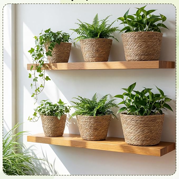 12 Pcs Seagrass Plant Basket with Plastic Liners Woven Stylish Planter Baskets Bulk Indoor Outdoor Plants Woven Wicker Baskets for Flower Pots Cover and Room Decor Small (Mixed Size,Rustic)