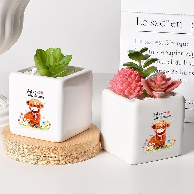 BJDAMAI Highland Cow Succulent Planter Flower Plant Pot Small, Gifts for Women Teens Girls Kids, Cow Lovers Themed Stuff Accessories Things Decor Merch, Home Office Table Desk Decoration!