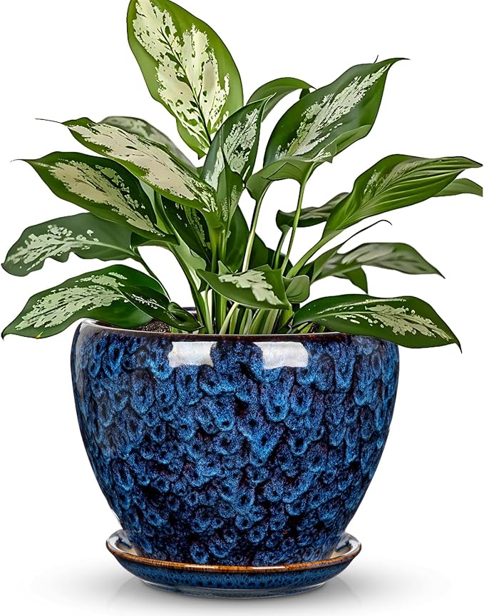 Hollyone 7inch Ceramic Planter Blue Ceramic Plant Pot for Plants Flowers with Drainage Hole and Saucers Ceramic Glaze Round Flower Plant Pot for Indoor Outdoor Medium Round Succulent Orchid Flower Pot