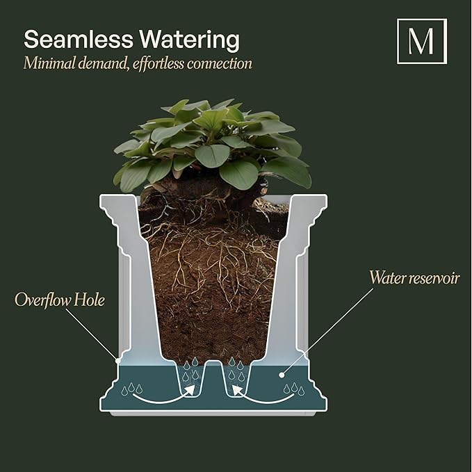 Mayne Cape Cod 5-Foot Window Box – Self-Watering, Weather-Resistant Planter for Flowers – Durable Design for Outdoor Use, Perfect for Windows