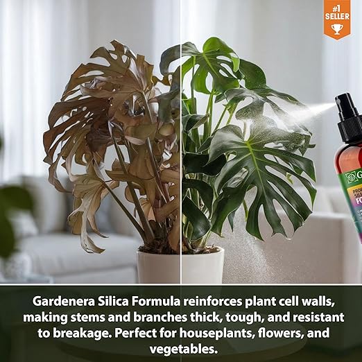 𝐏𝐑𝐎𝐅𝐄𝐒𝐒𝐈𝐎𝐍𝐀𝐋 Liquid Silica Plant Supplement - 32oz - ALBO VARIEGATA Liquid Silica Boost Fertilizer - Stronger Stems & Healthy Leaves for Indoor & Outdoor Plants (Makes 180 Gallons)