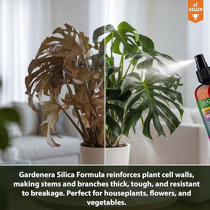𝐏𝐑𝐎𝐅𝐄𝐒𝐒𝐈𝐎𝐍𝐀𝐋 Liquid Silica Plant Supplement - 32oz - Carambola Plants Liquid Silica Boost Fertilizer - Stronger Stems & Healthy Leaves for Indoor & Outdoor Carambolas (Makes 180 Gallons)