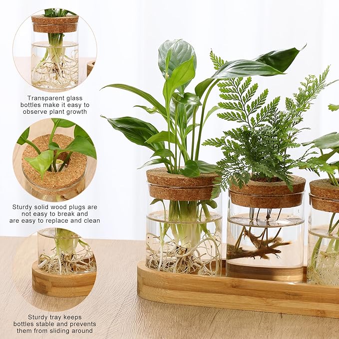 onepeng 3Pcs Propagation Stations, Plant Terrarium with Lid and Wooden Stand,Desktop Glass Planter Hydroponics Vase,Home Office Living Room Decor Gifts