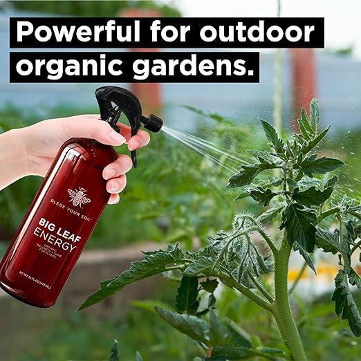 Big Leaf Energy (16 FL OZ) Organic Neem Oil Spray for Plants + Essential Oils : Ready to Use Plant Wash for Indoor Houseplants & Outdoor Gardens, Natural Leaf Shine