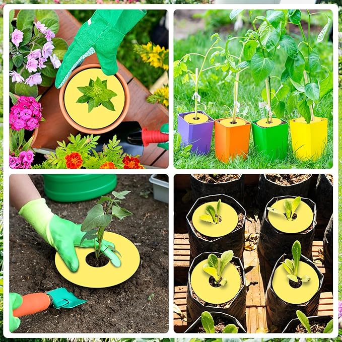 Mysora 24 Pcs Fruit Fly Traps Fungus Gnat Sticky Traps Yellow Round Ring for Pot Plants Indoor Outdoor Mosquito Flying Insects (M)