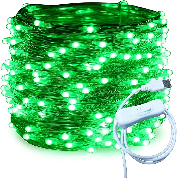 RUICHEN Silver Wire 66 Ft 200 LED USB Fairy String Lights with On/Off Switch (Green)