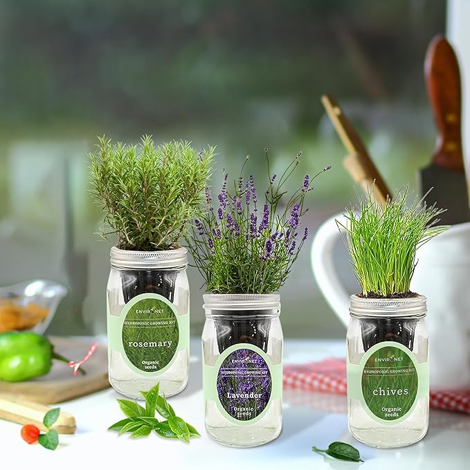 Environet Hydroponic Herb Growing Kit Set, Self-Watering Mason Jar Herb Garden Starter Kit Indoor, Grow Your Own Herbs from Seeds (Lavender, Rosemary & Chives)