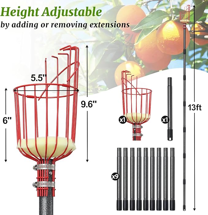 Fruit Picker, Fruit Picker Pole with Basket Extendable Long Handle, Easy to Assemble & Use Fruits Picker Tool for Orange Lemon Apple Mango Avocado (13FT)