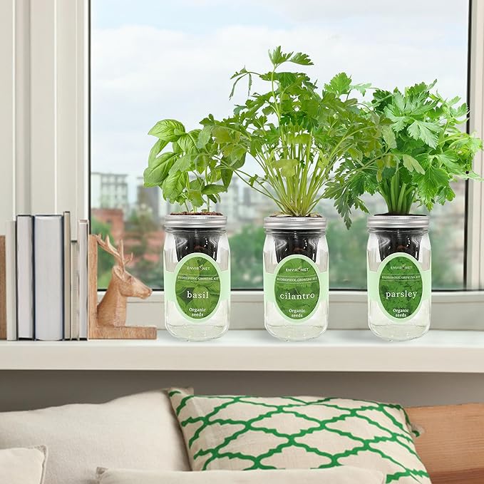 Environet Hydroponic Herb Growing Kit Set, Self-Watering Mason Jar Herb Garden Starter Kit Indoor, Windowsill Herbs Garden, Grow Your Own Herbs from Organic Seeds (Basil, Cilantro and Parsley)
