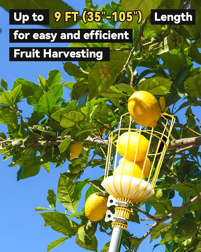 9FT Fruit Picker with Basket, Apple Picking Tool 35–105 Inch Adjustable Pole, Long-Handle Mango Grabber, Tree Fruit Catcher for Harvesting Lemon Pear Orange Avocado Peach Citrus Grapefruit