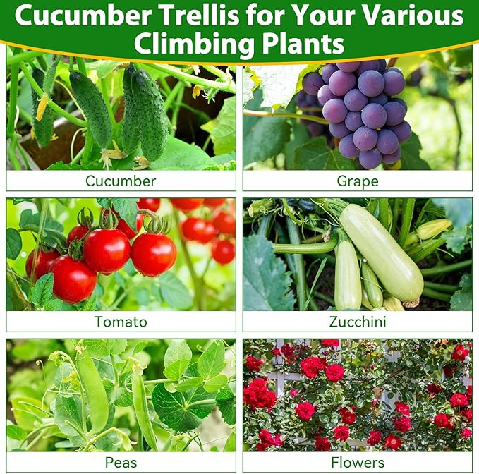 Cucumber Trellis for Raised Bed, 66''x48'' U-Shape Garden Trellis for Climbing Plants Outdoor, Metal Arch Plant Support, Vegetables Trellis for Squash Grape Pea Bean Vines Flower