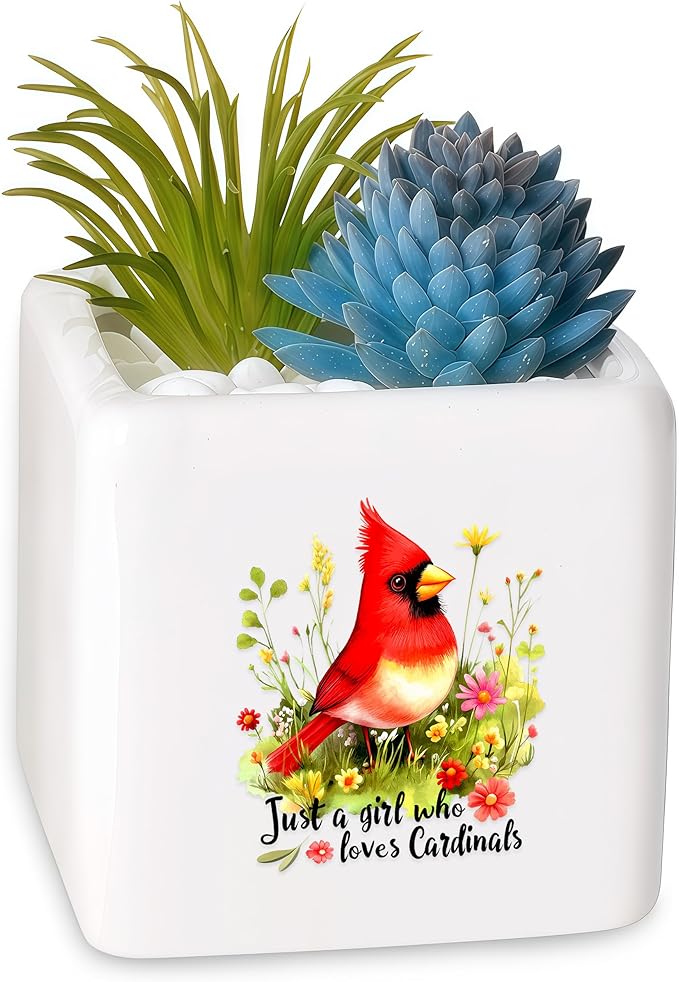 BJDAMAI Cardinal Succulent Planter Flower Plant Pot Small, Gifts for Women Teens Girls Kids, Cardinal Lovers Themed Stuff Accessories Things Decor Merch, Home Office Table Desk Decoration!