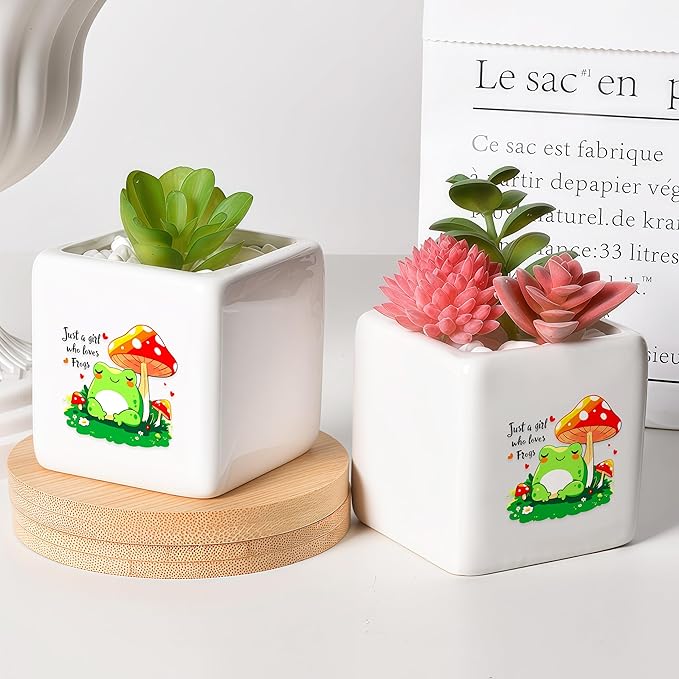 BJDAMAI Frog Succulent Planter Flower Plant Pot Small, Gifts for Women Teens Girls Kids, Frog Lovers Themed Stuff Accessories Things Decor Merch, Home Office Table Desk Decoration!