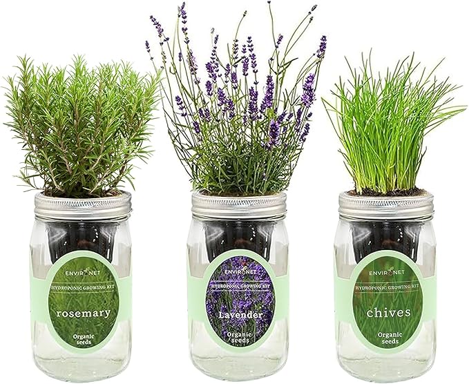 Environet Hydroponic Herb Growing Kit Set, Self-Watering Mason Jar Herb Garden Starter Kit Indoor, Grow Your Own Herbs from Seeds (Lavender, Rosemary & Chives)