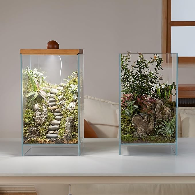 13.7H+7.8W Desktop Glass Plant Terrarium with Light, Large Propagation Station for Succulent, Moss, Miniature Gardening Landscape, Betta Fish Tank