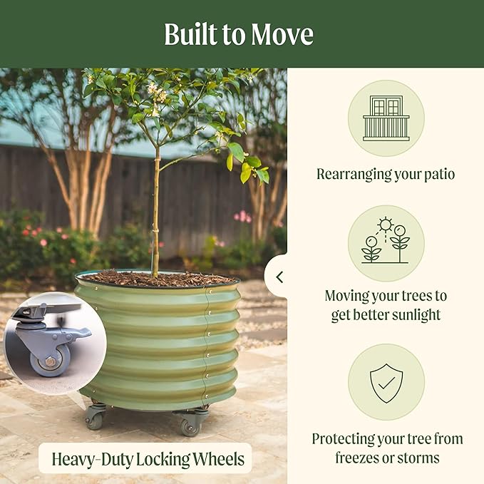 Rolling Metal Citrus Tree Planter, Self-Watering Round Large Pot for Growing Trees Tomatoes Vegetables and Flowers, Raised Garden Bed with Wheels for Porch Patio & Backyard, Twin Pack-Modern Gray