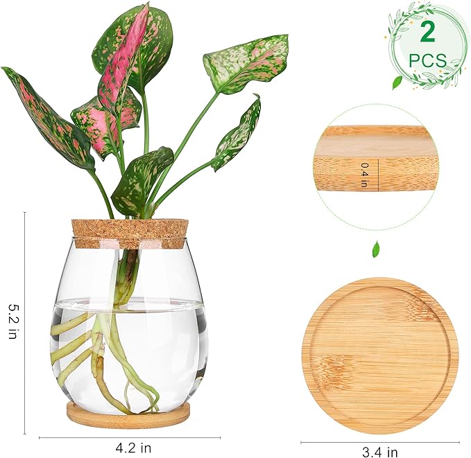 onepeng 2Pcs Propagation Vases for Plants, Well-Made Plant Terrarium, Hydroponic Glass Container Vase Jars, Plant Lover Gifts for Women, Windowsill Kitchen Desktop Decorations
