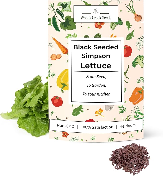 Black Seeded Simpson Heirloom Lettuce Seeds for Planting - Over 1,700 Non-GMO Seed Pack for Indoors, Outdoors, or as Hydroponic Seeds - Beginner-Friendly Green Leaf Lettuce Seed | Woods Creek Seeds