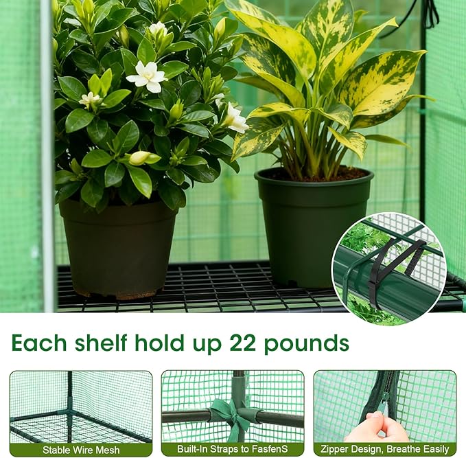 56x56x76 Greenhouse, Portable Green House for Outside Patio, Greenhouses Kit for Outdoor with Shelves, Thicken PE Cover, Ground Nail and Fixed Ropes (Green Cover, 4.6x4.6x6.3 FT)