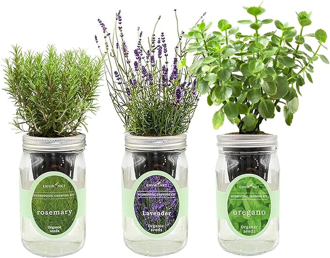 Environet Hydroponic Herb Growing Kit Set, Self-Watering Mason Jar Herb Garden Starter Kit Indoor, Windowsill Herbs Garden, Grow Your Own Herbs from Organic Seeds (Rosemary, Lavender, Oregano)