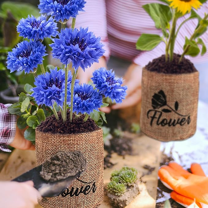 Sproutix Indoor Daisy Garden Starter Kit, 4 Flower Seeds Growing into Shasta Daisy, Cornflower, Sunflower, Zinnia, Including Complete Gardening Tools, Christmas Gifts for Women Men & Beginners