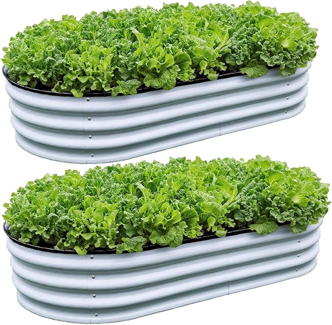 GrowHaus 2 Pack 4x2x1FT Galvanized Raised Garden Bed, Planter Boxes Outdoor Metal Garden Beds for Planting Vegetables Flowers Herbs Silver