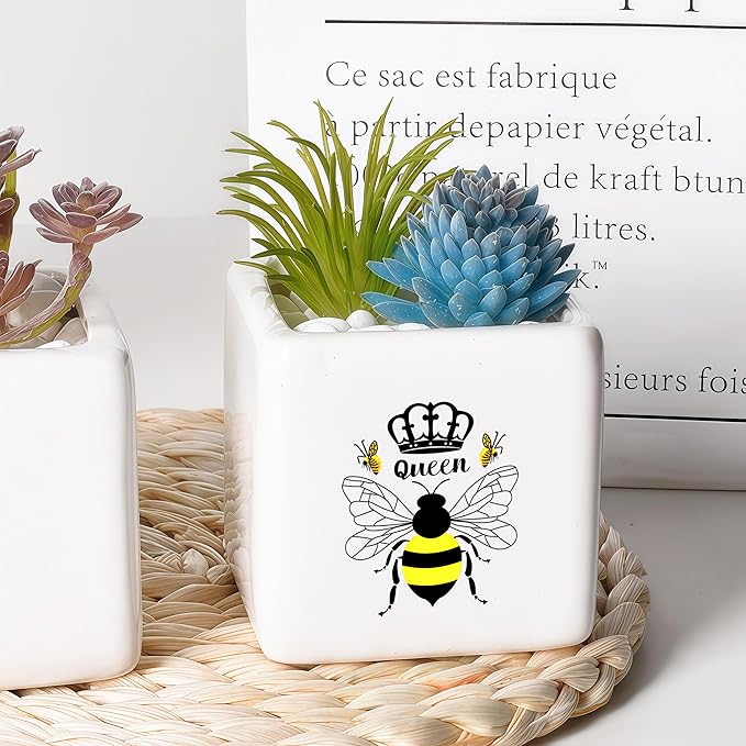 BJDAMAI Bee Succulent Planter Flower Plant Pot Small, Gifts for Women Teens Girls Kids, Bee Lovers Themed Stuff Accessories Things Decor Merch, Home Office Table Desk Decoration!