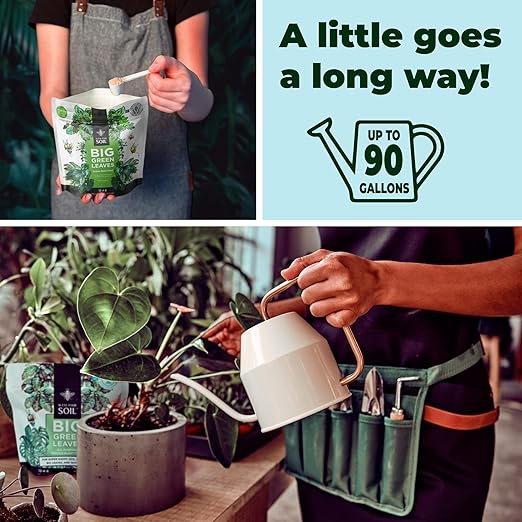 Plant Food + Neem Oil Spray for Plants : Seaweed-Rich Fertilizer for Leafy Houseplants and Organic Leaf Spray