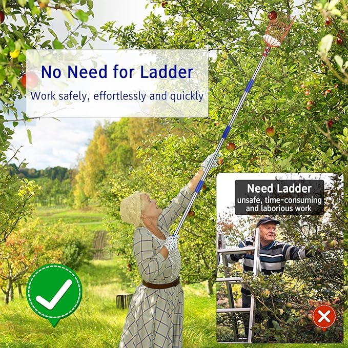 BsBsBest Fruit Picker Pole with Basket, Telescoping Fruit Picker Tool with Long Handle, 35-65 Inch Adjustable Apple Avocado Orange Picker, Stainless Steel Fruits Catcher Tree Picker