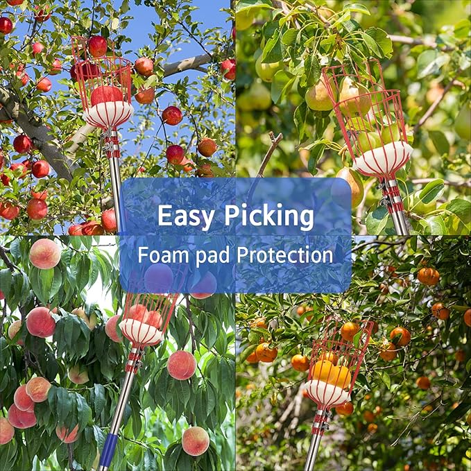 BsBsBest Fruit Picker Pole with Basket - 8 Foot Adjustable Height Fruit Picker Tool with Stainless Steel Fruit Picking Pole for Apple Cherry Berry Fit Orange Blueberry Mango Avocado Lemon Peach