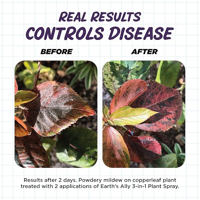 Earth's Ally 3-in-1 Plant Spray 32 Oz Concentrate for Pests and Disease - Organic Insecticide, Fungicide, Miticide - OMRI Listed for Indoor Houseplants and Outdoor Garden - Safe for Bees, Kids, Pets