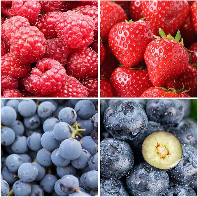Mixed Berry Seeds for Planting- 700 Strawberries, 200 Raspberries, 80 Grapes, 80 Blueberries - Non-GMO Heirloom Varieties, Perfect for Home Gardening
