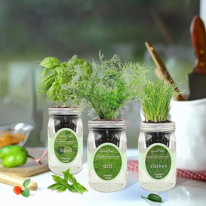 Environet Hydroponic Herb Growing Kit Set, Self-Watering Mason Jar Herb Garden Starter Kit Indoor, Windowsill Herbs Garden, Grow Your Own Herbs from Organic Seeds (Basil, Dill, Chives)