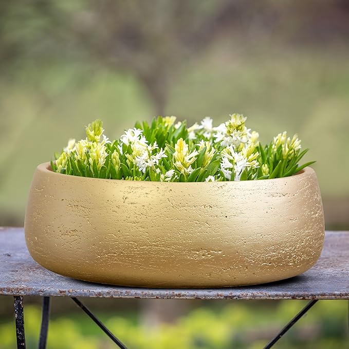 Olly & Rose Large Ceramic Planter Bowl Shallow Plant Pot - Gold Flower Pot Indoor and Outdoor Decorative Bowl Garden and Home Décor