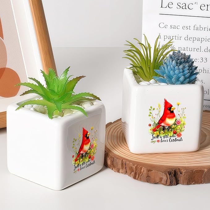 BJDAMAI Cardinal Succulent Planter Flower Plant Pot Small, Gifts for Women Teens Girls Kids, Cardinal Lovers Themed Stuff Accessories Things Decor Merch, Home Office Table Desk Decoration!