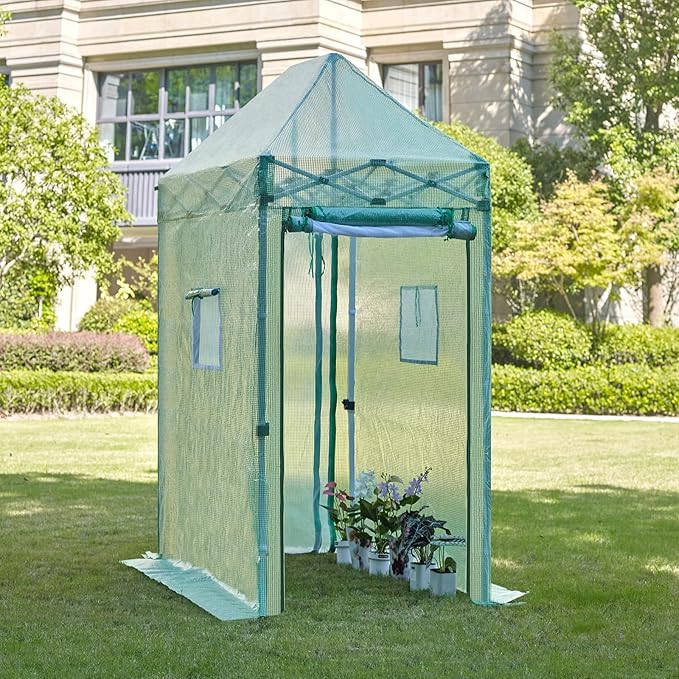 47”x 69”x 104”Walk in Instant Pop-up Greenhouse,Indoor Outdoor Gardening Green House, Roll-Up Zipper Doors and Side Windows Mesh Windows, Thickened PE Cover & Heavy Duty Steel Frame, Green