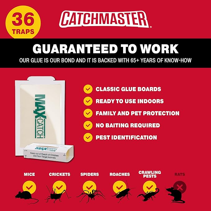 Catchmaster Max-Catch Mouse & Insect Glue Trap 36pk, Mouse Traps Indoor for Home, Sticky Pest Control Adhesive Tray for Catching Bugs, Bulk Classic Glue Boards