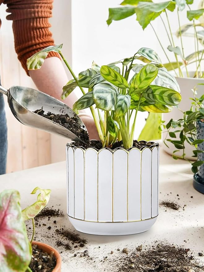 Ceramic Plants Pot 6.2+5.3 Inch Petal-Shaped Rim Pots Set of 2 for for Indoor Outdoor Succulent Plants or Flowers Gold and White