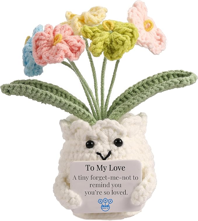 YOOJEE Forget-Me-Not Crochet Gifts for Him Her Boyfriend Girlfriend Birthday to My Love Handmade Valentines Day Flower Plant Gift for Women Men Romantic I Love You Gift for Couples Wife Husband